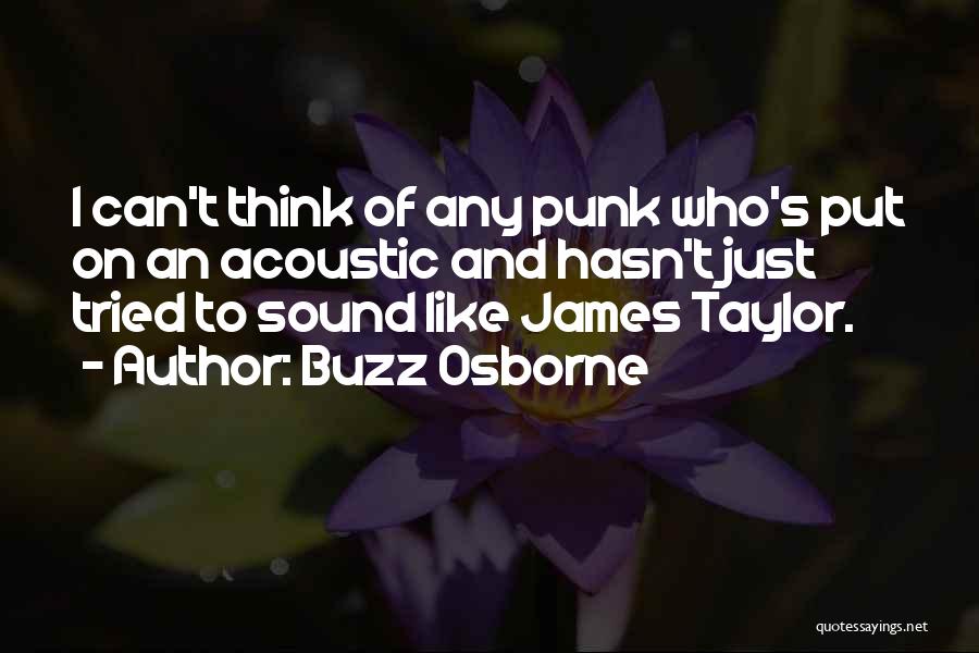 Buzz Osborne Quotes: I Can't Think Of Any Punk Who's Put On An Acoustic And Hasn't Just Tried To Sound Like James Taylor.