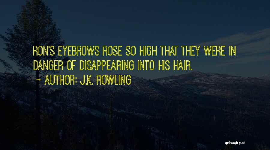J.K. Rowling Quotes: Ron's Eyebrows Rose So High That They Were In Danger Of Disappearing Into His Hair.