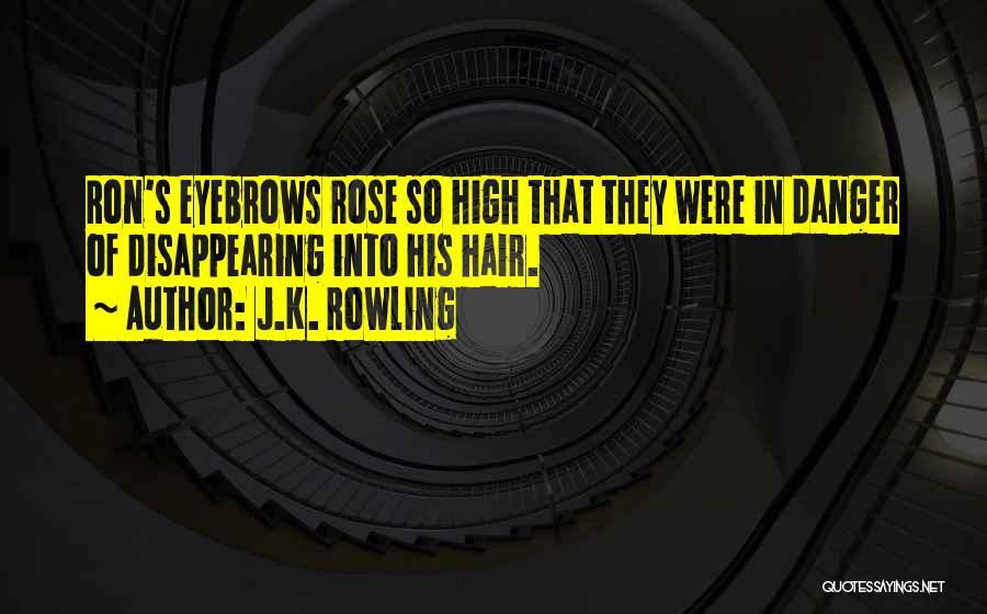 J.K. Rowling Quotes: Ron's Eyebrows Rose So High That They Were In Danger Of Disappearing Into His Hair.