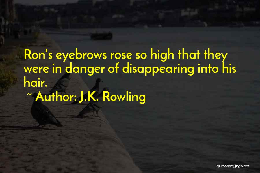 J.K. Rowling Quotes: Ron's Eyebrows Rose So High That They Were In Danger Of Disappearing Into His Hair.
