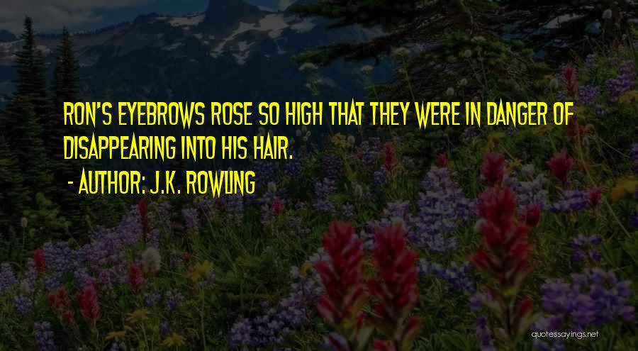 J.K. Rowling Quotes: Ron's Eyebrows Rose So High That They Were In Danger Of Disappearing Into His Hair.