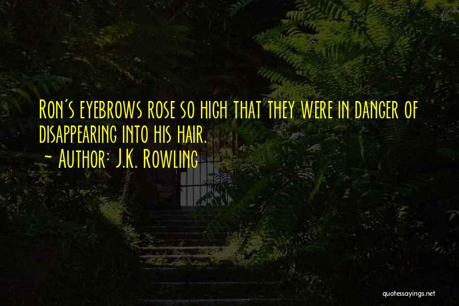 J.K. Rowling Quotes: Ron's Eyebrows Rose So High That They Were In Danger Of Disappearing Into His Hair.