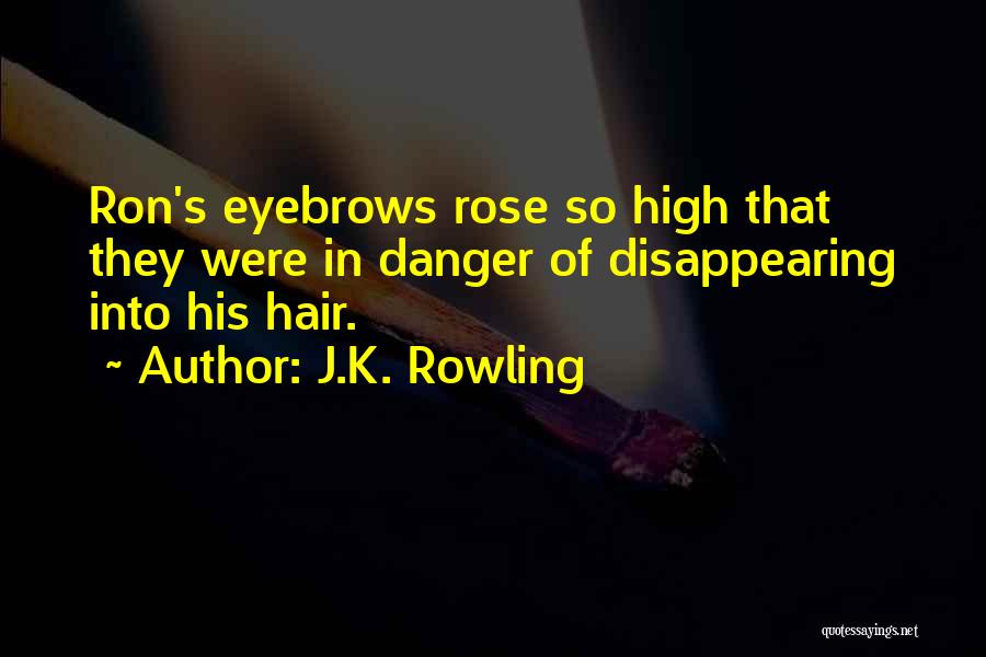 J.K. Rowling Quotes: Ron's Eyebrows Rose So High That They Were In Danger Of Disappearing Into His Hair.