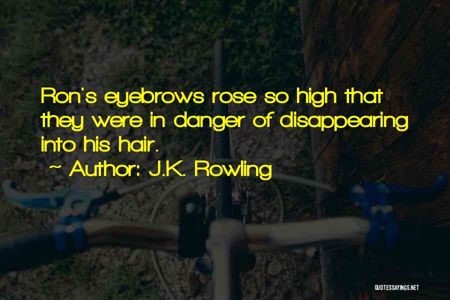 J.K. Rowling Quotes: Ron's Eyebrows Rose So High That They Were In Danger Of Disappearing Into His Hair.