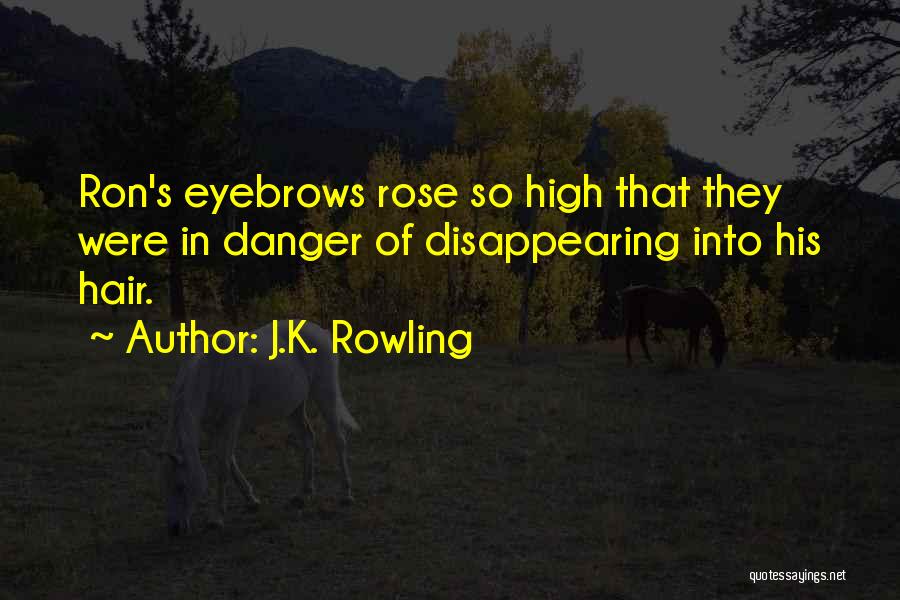 J.K. Rowling Quotes: Ron's Eyebrows Rose So High That They Were In Danger Of Disappearing Into His Hair.