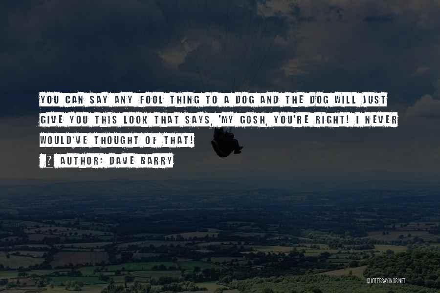 Dave Barry Quotes: You Can Say Any Fool Thing To A Dog And The Dog Will Just Give You This Look That Says,