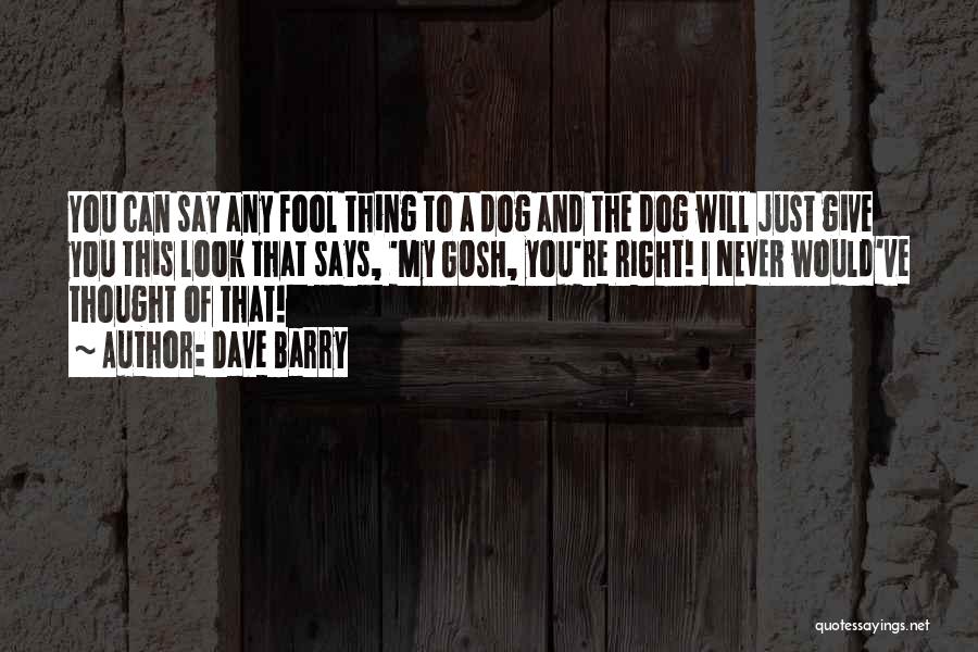 Dave Barry Quotes: You Can Say Any Fool Thing To A Dog And The Dog Will Just Give You This Look That Says,