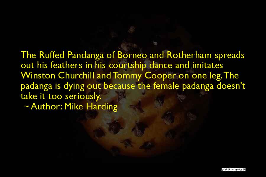Mike Harding Quotes: The Ruffed Pandanga Of Borneo And Rotherham Spreads Out His Feathers In His Courtship Dance And Imitates Winston Churchill And