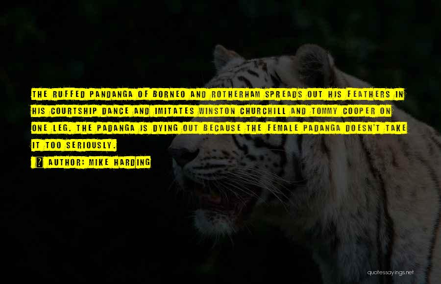 Mike Harding Quotes: The Ruffed Pandanga Of Borneo And Rotherham Spreads Out His Feathers In His Courtship Dance And Imitates Winston Churchill And