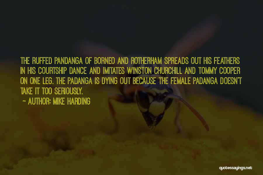 Mike Harding Quotes: The Ruffed Pandanga Of Borneo And Rotherham Spreads Out His Feathers In His Courtship Dance And Imitates Winston Churchill And