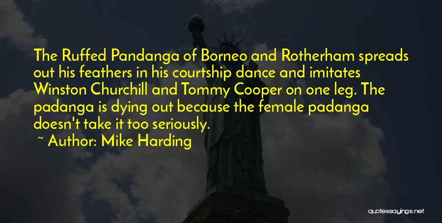 Mike Harding Quotes: The Ruffed Pandanga Of Borneo And Rotherham Spreads Out His Feathers In His Courtship Dance And Imitates Winston Churchill And