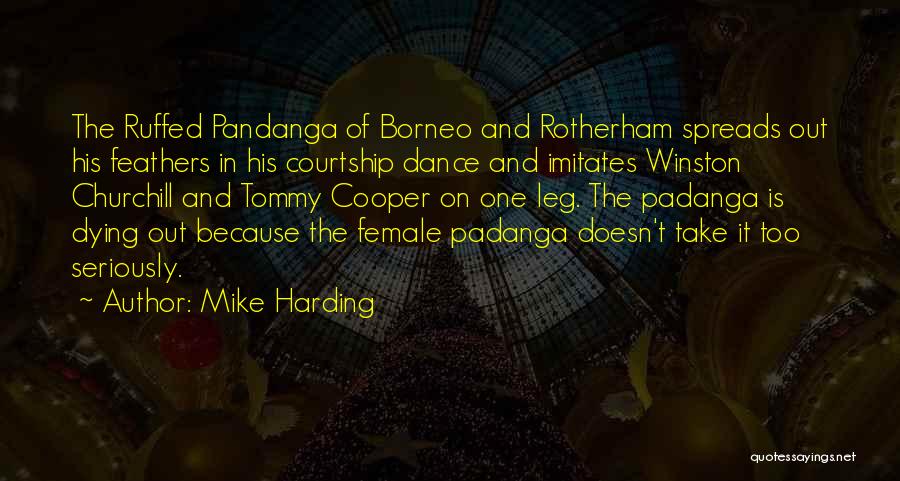 Mike Harding Quotes: The Ruffed Pandanga Of Borneo And Rotherham Spreads Out His Feathers In His Courtship Dance And Imitates Winston Churchill And