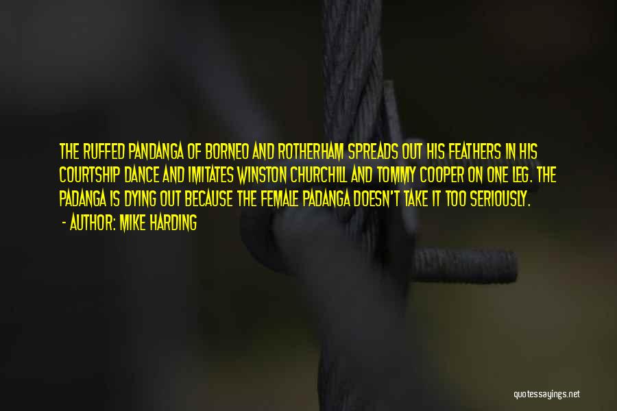 Mike Harding Quotes: The Ruffed Pandanga Of Borneo And Rotherham Spreads Out His Feathers In His Courtship Dance And Imitates Winston Churchill And