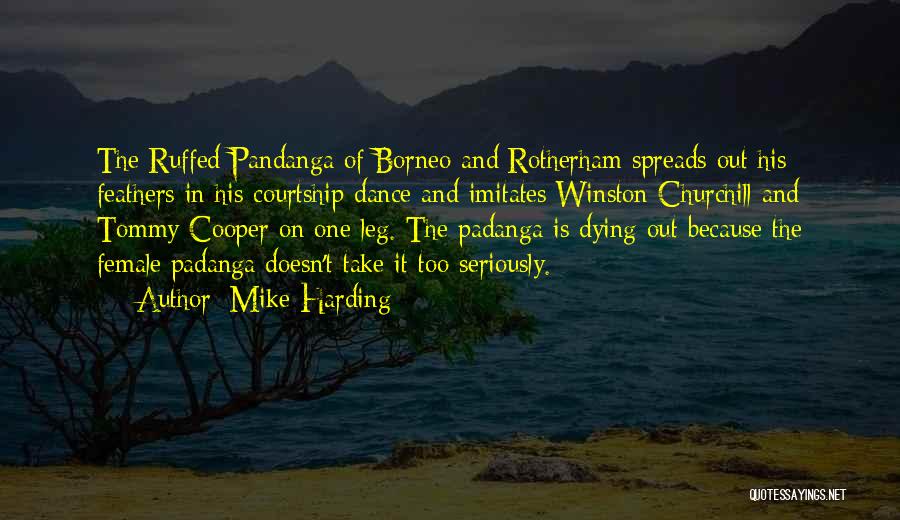 Mike Harding Quotes: The Ruffed Pandanga Of Borneo And Rotherham Spreads Out His Feathers In His Courtship Dance And Imitates Winston Churchill And