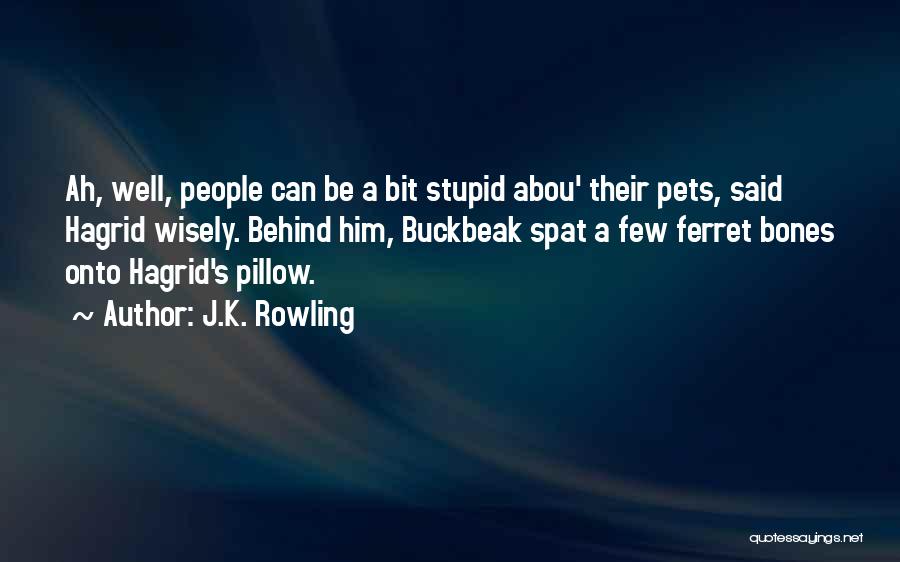 J.K. Rowling Quotes: Ah, Well, People Can Be A Bit Stupid Abou' Their Pets, Said Hagrid Wisely. Behind Him, Buckbeak Spat A Few