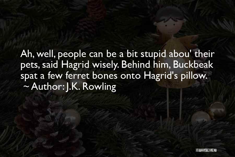 J.K. Rowling Quotes: Ah, Well, People Can Be A Bit Stupid Abou' Their Pets, Said Hagrid Wisely. Behind Him, Buckbeak Spat A Few