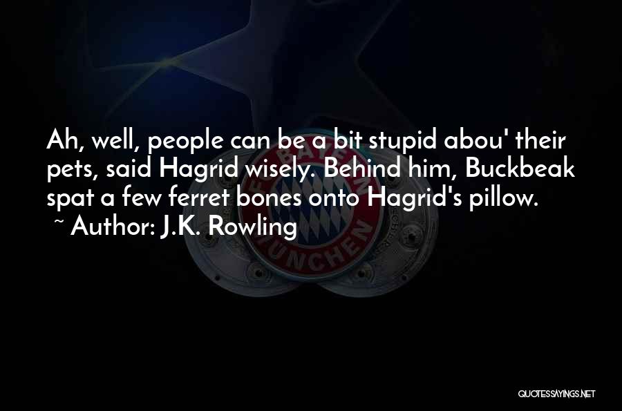 J.K. Rowling Quotes: Ah, Well, People Can Be A Bit Stupid Abou' Their Pets, Said Hagrid Wisely. Behind Him, Buckbeak Spat A Few
