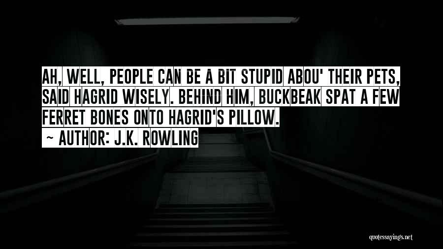 J.K. Rowling Quotes: Ah, Well, People Can Be A Bit Stupid Abou' Their Pets, Said Hagrid Wisely. Behind Him, Buckbeak Spat A Few