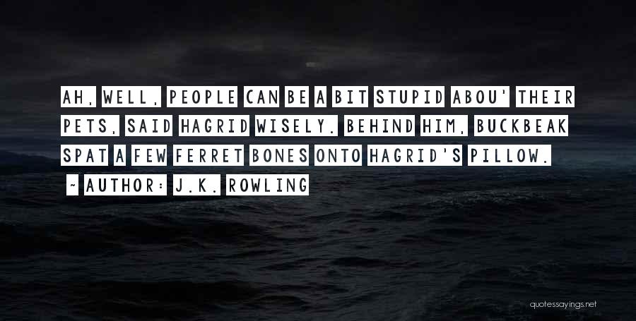 J.K. Rowling Quotes: Ah, Well, People Can Be A Bit Stupid Abou' Their Pets, Said Hagrid Wisely. Behind Him, Buckbeak Spat A Few