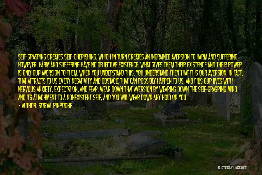 Sogyal Rinpoche Quotes: Self-grasping Creates Self-cherishing, Which In Turn Creates An Ingrained Aversion To Harm And Suffering. However, Harm And Suffering Have No