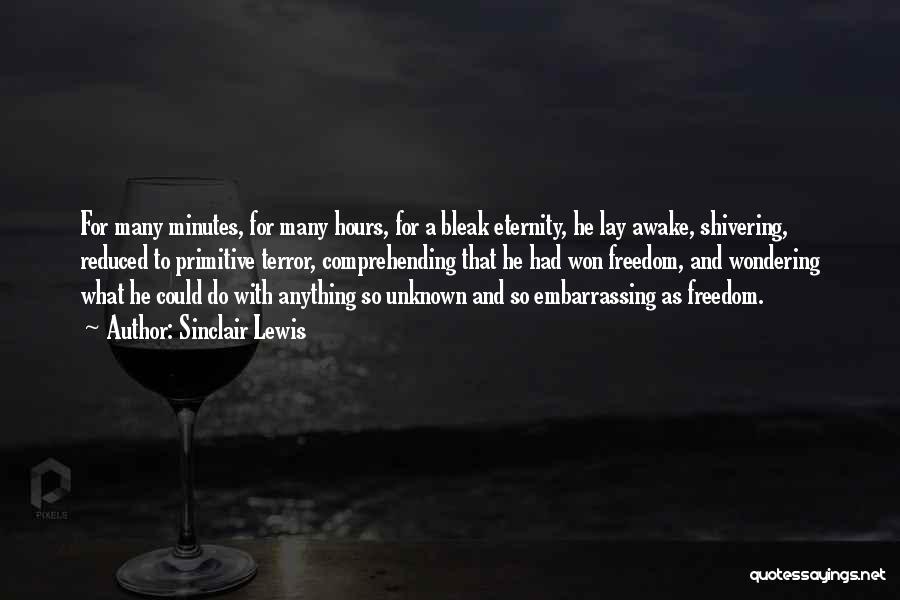 Sinclair Lewis Quotes: For Many Minutes, For Many Hours, For A Bleak Eternity, He Lay Awake, Shivering, Reduced To Primitive Terror, Comprehending That