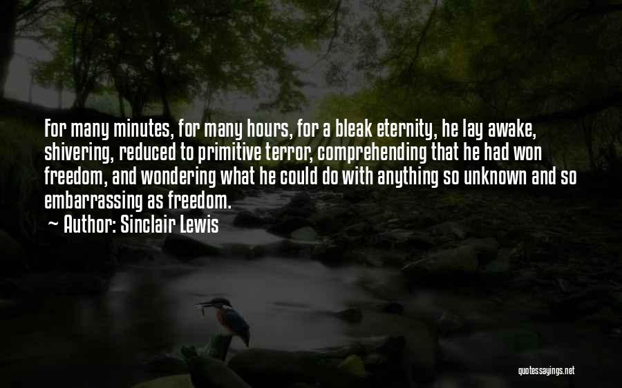 Sinclair Lewis Quotes: For Many Minutes, For Many Hours, For A Bleak Eternity, He Lay Awake, Shivering, Reduced To Primitive Terror, Comprehending That