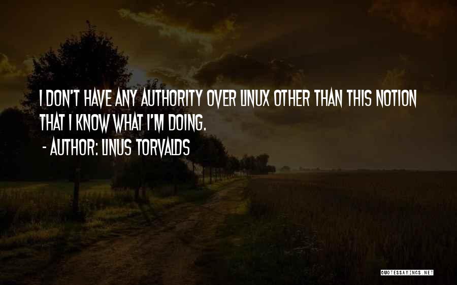 Linus Torvalds Quotes: I Don't Have Any Authority Over Linux Other Than This Notion That I Know What I'm Doing.