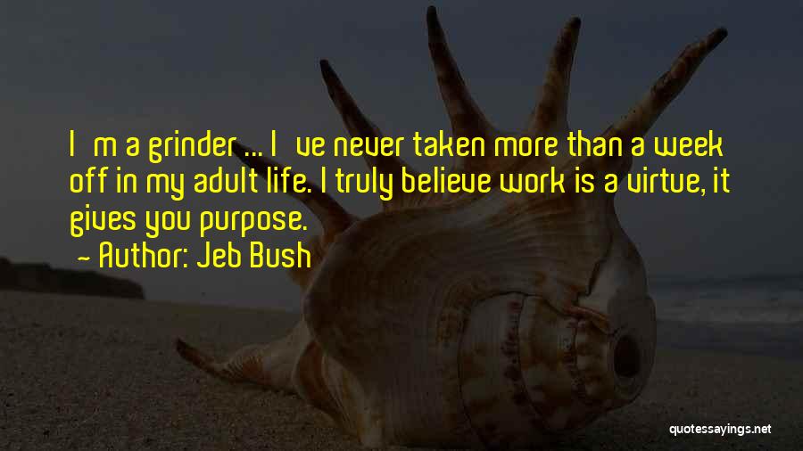 Jeb Bush Quotes: I'm A Grinder ... I've Never Taken More Than A Week Off In My Adult Life. I Truly Believe Work