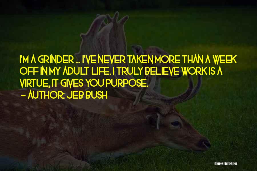 Jeb Bush Quotes: I'm A Grinder ... I've Never Taken More Than A Week Off In My Adult Life. I Truly Believe Work