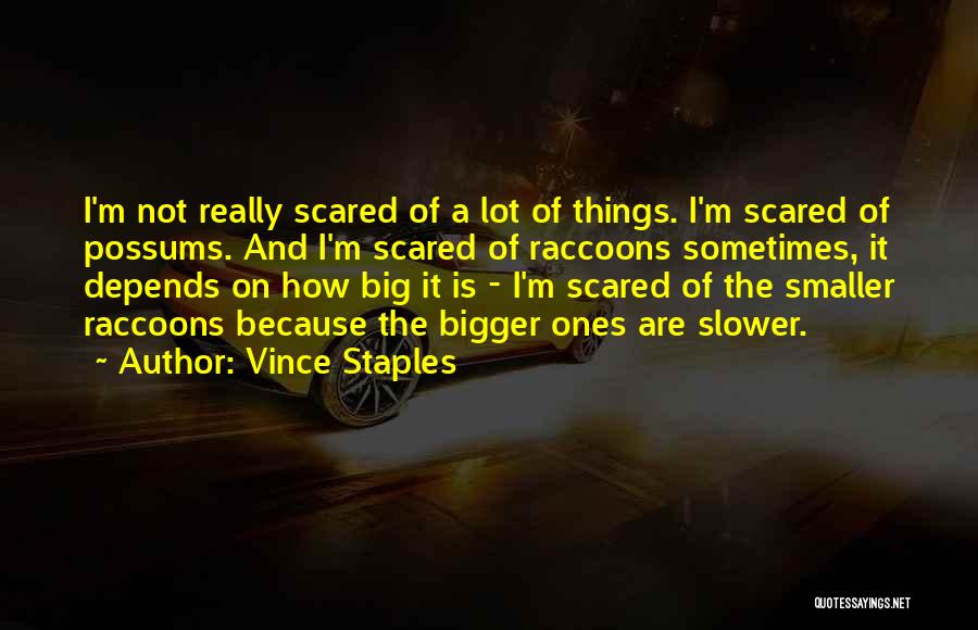 Vince Staples Quotes: I'm Not Really Scared Of A Lot Of Things. I'm Scared Of Possums. And I'm Scared Of Raccoons Sometimes, It