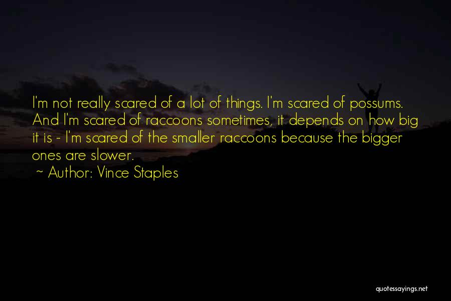 Vince Staples Quotes: I'm Not Really Scared Of A Lot Of Things. I'm Scared Of Possums. And I'm Scared Of Raccoons Sometimes, It