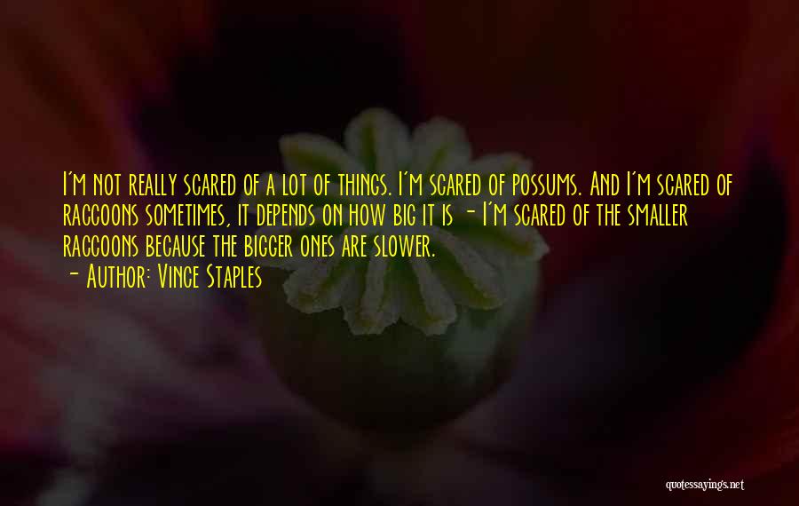 Vince Staples Quotes: I'm Not Really Scared Of A Lot Of Things. I'm Scared Of Possums. And I'm Scared Of Raccoons Sometimes, It