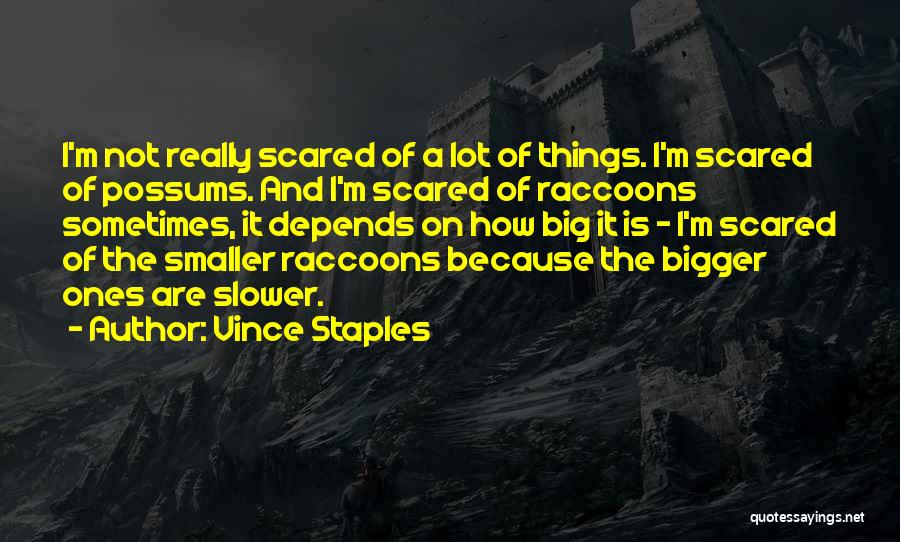 Vince Staples Quotes: I'm Not Really Scared Of A Lot Of Things. I'm Scared Of Possums. And I'm Scared Of Raccoons Sometimes, It