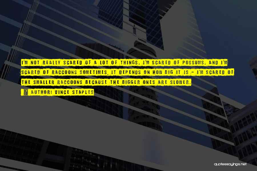 Vince Staples Quotes: I'm Not Really Scared Of A Lot Of Things. I'm Scared Of Possums. And I'm Scared Of Raccoons Sometimes, It