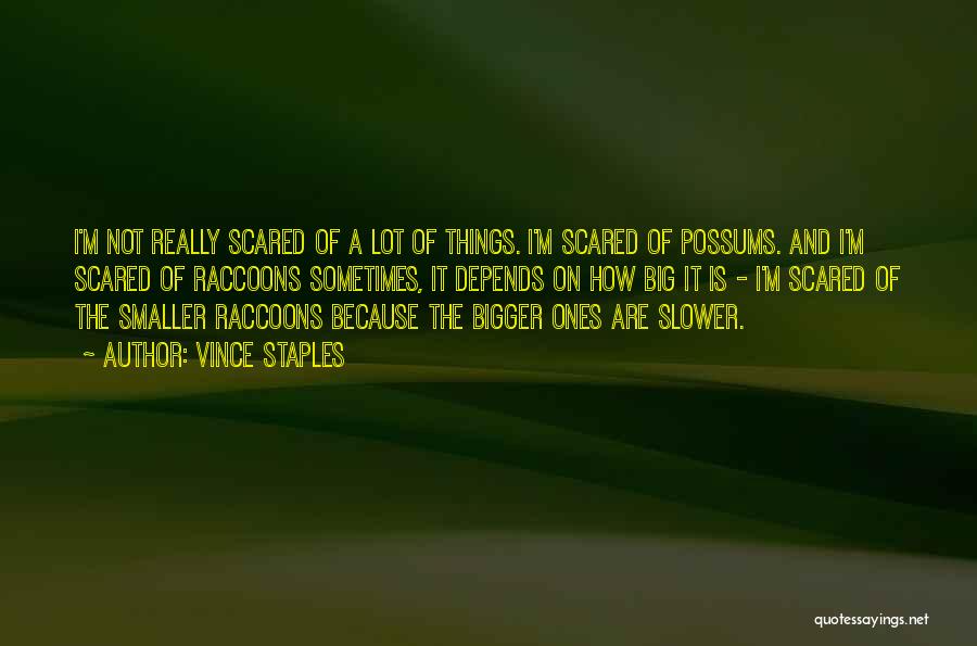 Vince Staples Quotes: I'm Not Really Scared Of A Lot Of Things. I'm Scared Of Possums. And I'm Scared Of Raccoons Sometimes, It