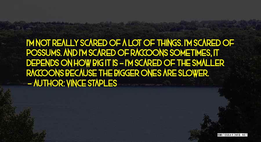 Vince Staples Quotes: I'm Not Really Scared Of A Lot Of Things. I'm Scared Of Possums. And I'm Scared Of Raccoons Sometimes, It