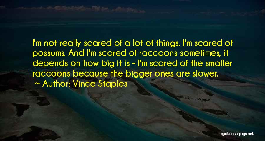 Vince Staples Quotes: I'm Not Really Scared Of A Lot Of Things. I'm Scared Of Possums. And I'm Scared Of Raccoons Sometimes, It