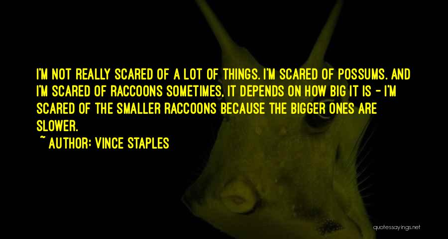 Vince Staples Quotes: I'm Not Really Scared Of A Lot Of Things. I'm Scared Of Possums. And I'm Scared Of Raccoons Sometimes, It