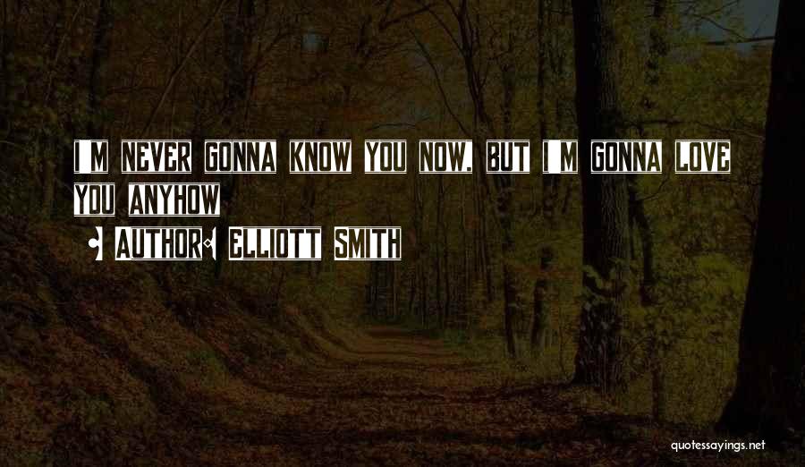 Elliott Smith Quotes: I'm Never Gonna Know You Now, But I'm Gonna Love You Anyhow