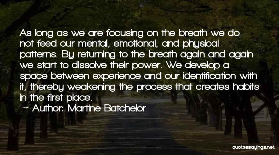 Martine Batchelor Quotes: As Long As We Are Focusing On The Breath We Do Not Feed Our Mental, Emotional, And Physical Patterns. By