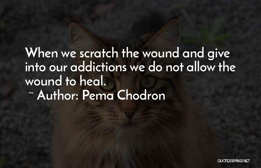 Pema Chodron Quotes: When We Scratch The Wound And Give Into Our Addictions We Do Not Allow The Wound To Heal.