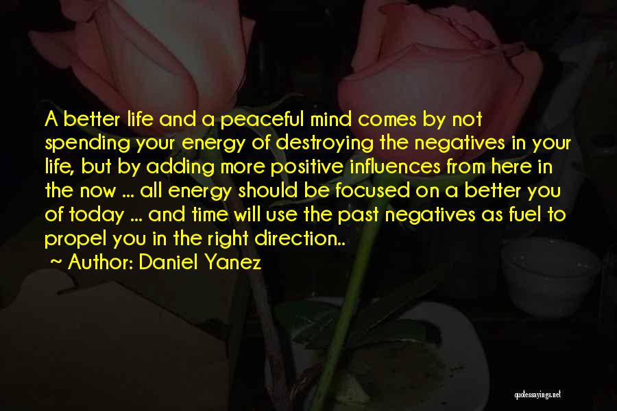 Daniel Yanez Quotes: A Better Life And A Peaceful Mind Comes By Not Spending Your Energy Of Destroying The Negatives In Your Life,