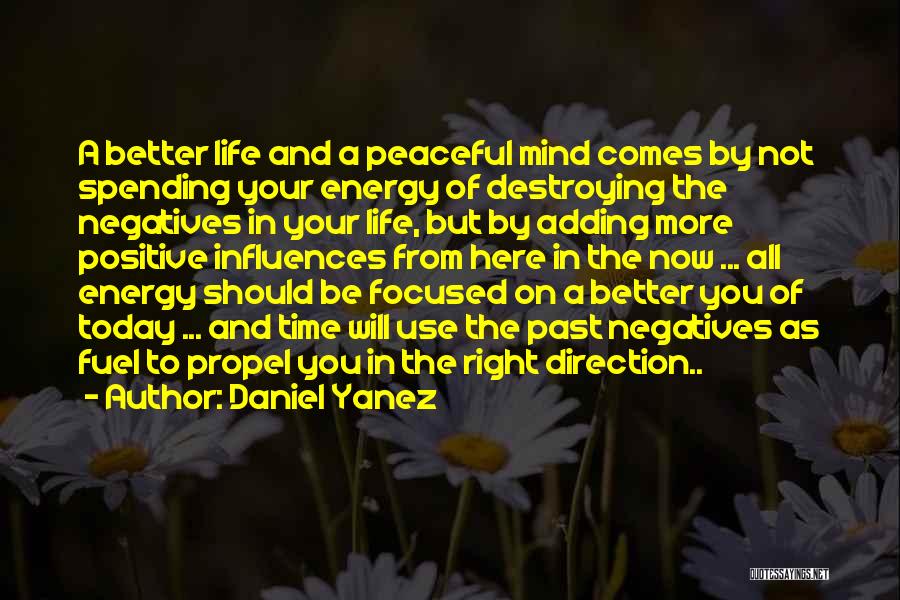 Daniel Yanez Quotes: A Better Life And A Peaceful Mind Comes By Not Spending Your Energy Of Destroying The Negatives In Your Life,