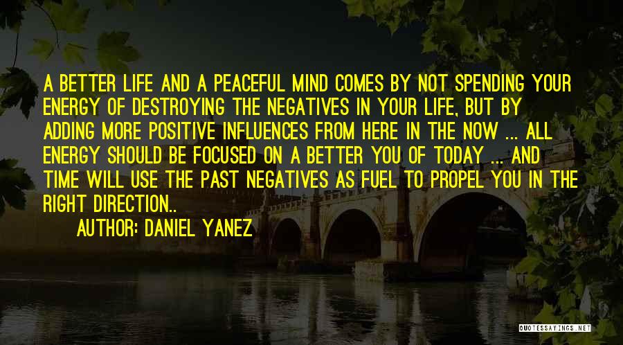 Daniel Yanez Quotes: A Better Life And A Peaceful Mind Comes By Not Spending Your Energy Of Destroying The Negatives In Your Life,