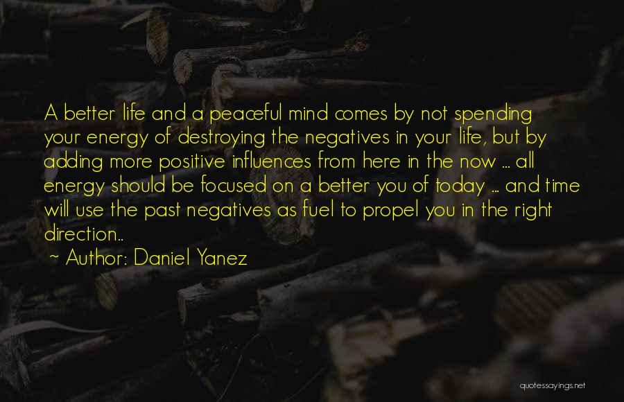 Daniel Yanez Quotes: A Better Life And A Peaceful Mind Comes By Not Spending Your Energy Of Destroying The Negatives In Your Life,