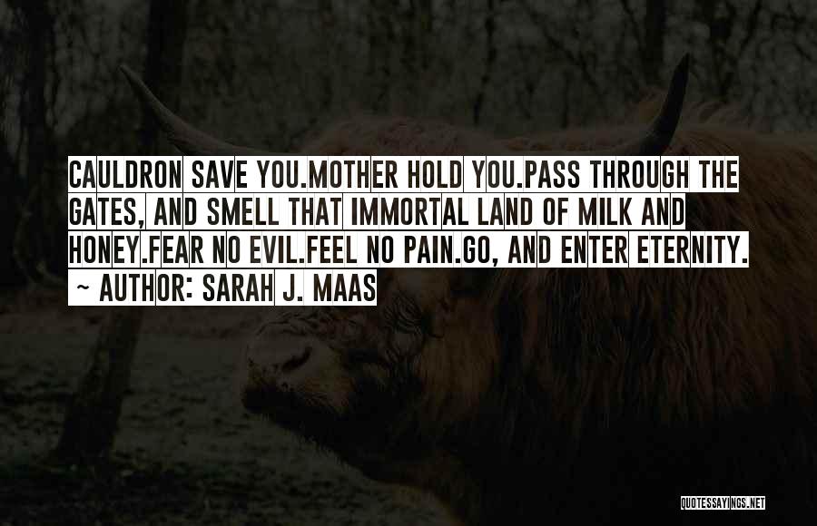 Sarah J. Maas Quotes: Cauldron Save You.mother Hold You.pass Through The Gates, And Smell That Immortal Land Of Milk And Honey.fear No Evil.feel No
