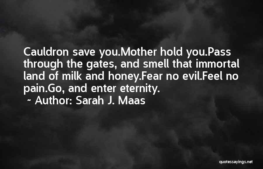 Sarah J. Maas Quotes: Cauldron Save You.mother Hold You.pass Through The Gates, And Smell That Immortal Land Of Milk And Honey.fear No Evil.feel No