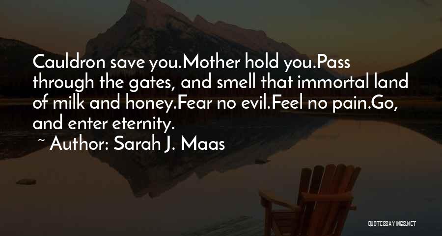 Sarah J. Maas Quotes: Cauldron Save You.mother Hold You.pass Through The Gates, And Smell That Immortal Land Of Milk And Honey.fear No Evil.feel No