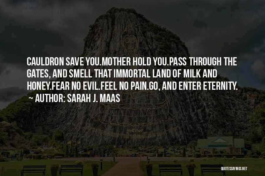 Sarah J. Maas Quotes: Cauldron Save You.mother Hold You.pass Through The Gates, And Smell That Immortal Land Of Milk And Honey.fear No Evil.feel No