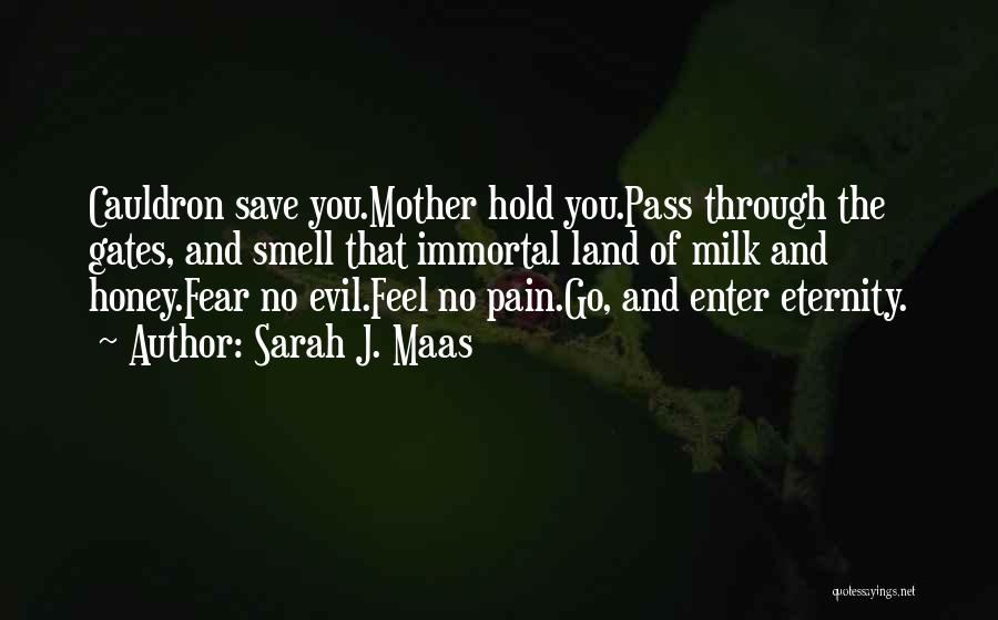 Sarah J. Maas Quotes: Cauldron Save You.mother Hold You.pass Through The Gates, And Smell That Immortal Land Of Milk And Honey.fear No Evil.feel No